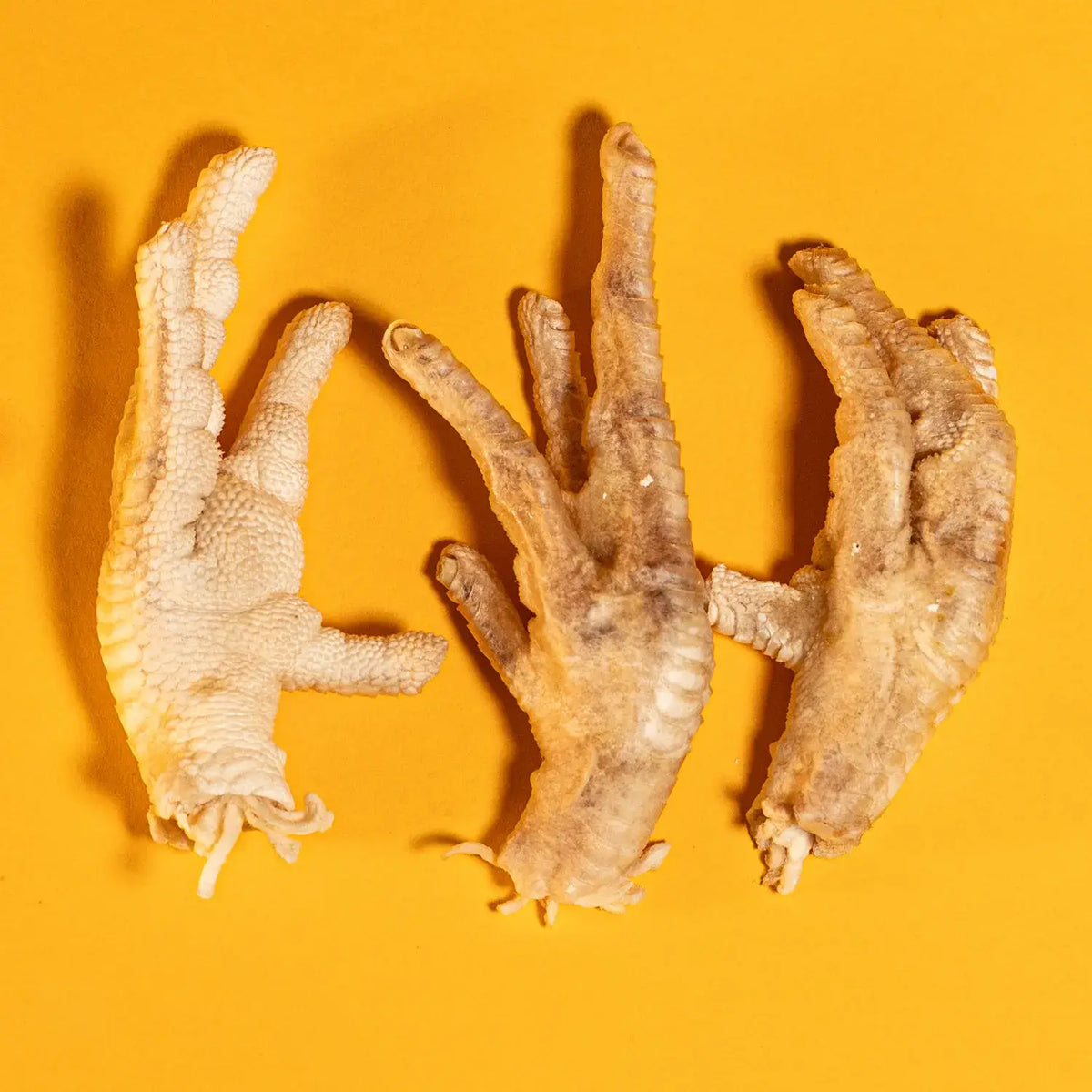Chicken Feet - Freeze-Dried Treat for Dogs