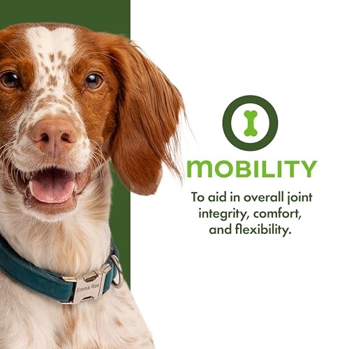 Fromm Nutritionals Mobility Functional Dog Treats 6 oz