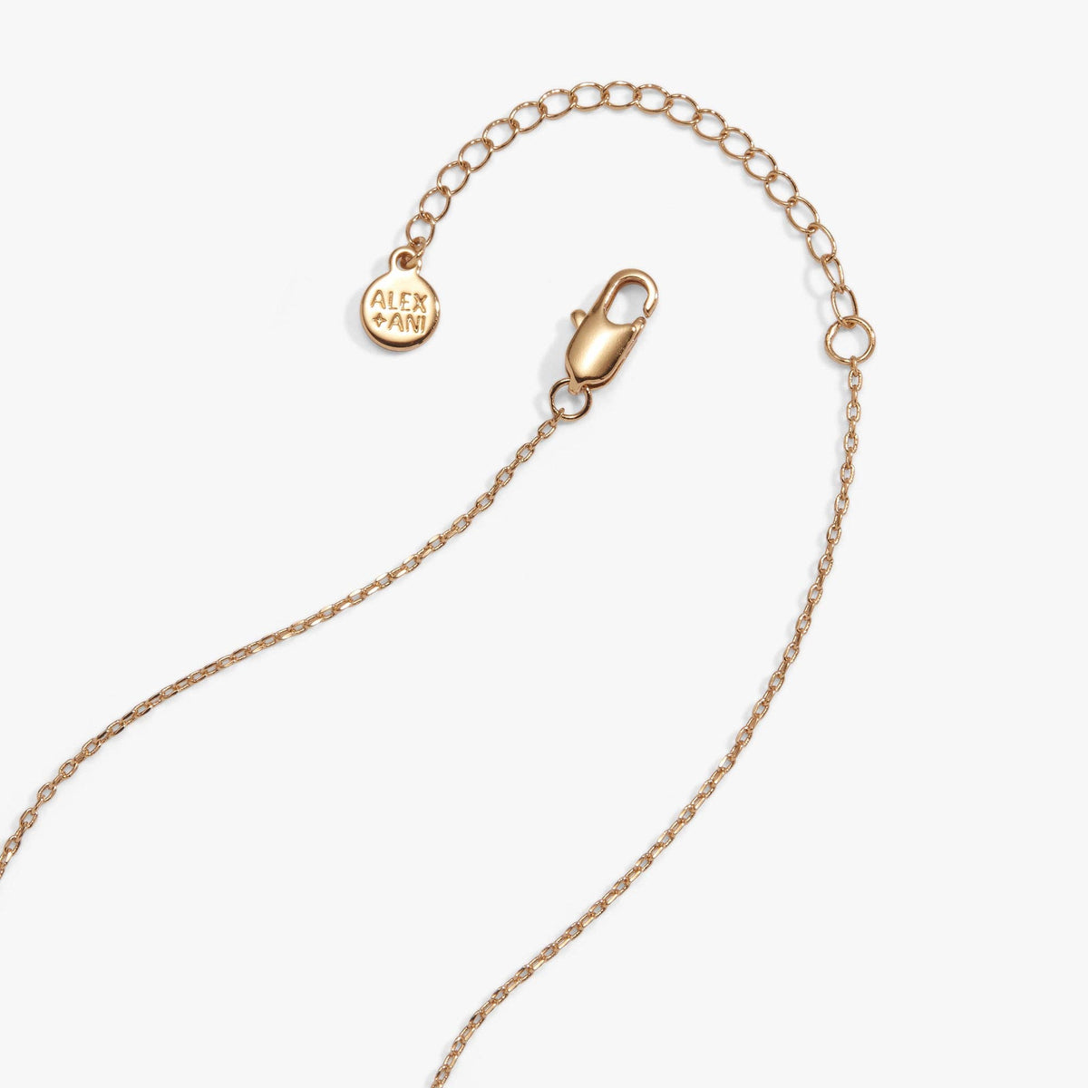'I Like My Pickle Spicy' Locket Necklace