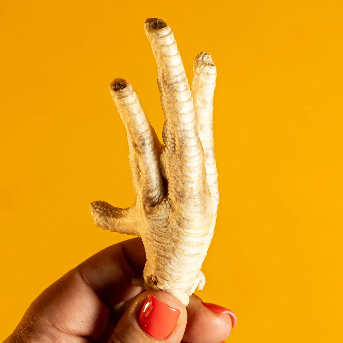 Chicken Feet - Freeze-Dried Treat for Dogs